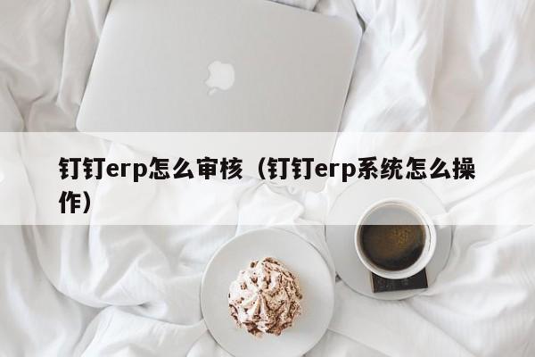 钉钉erp怎么审核（钉钉erp系统怎么操作）