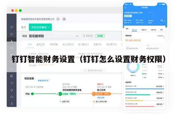 钉钉智能财务设置（钉钉怎么设置财务权限）