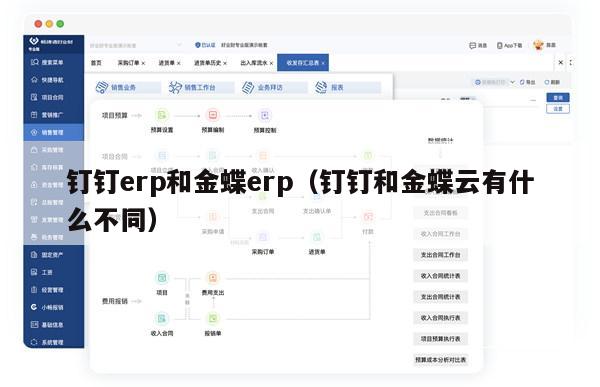 钉钉erp和金蝶erp（钉钉和金蝶云有什么不同）