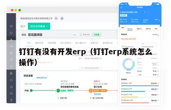 钉钉有没有开发erp（钉钉erp系统怎么操作）