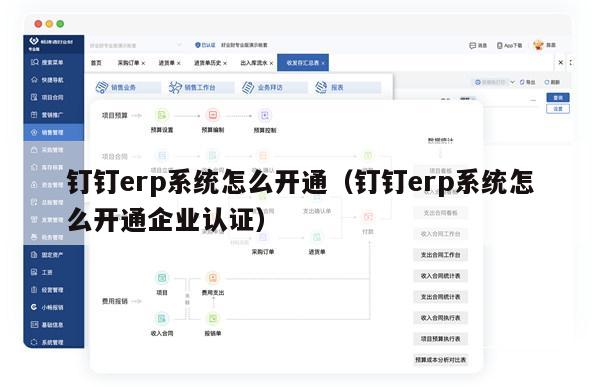 钉钉erp系统怎么开通（钉钉erp系统怎么开通企业认证）