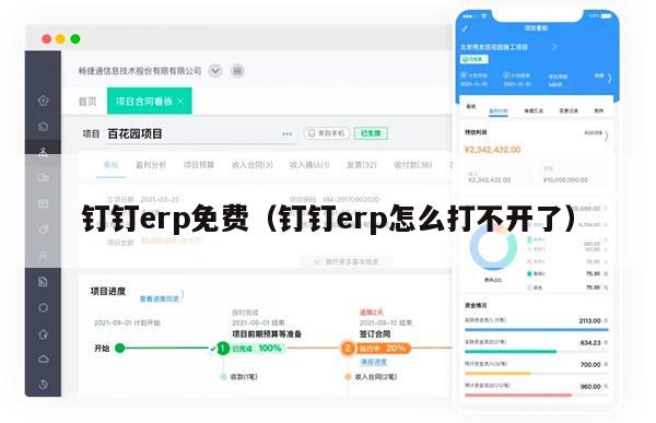 钉钉erp免费（钉钉erp怎么打不开了）