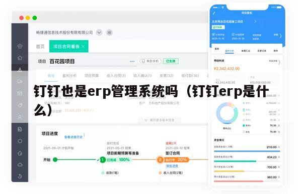 钉钉也是erp管理系统吗（钉钉erp是什么）