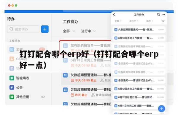 钉钉配合哪个erp好（钉钉配合哪个erp好一点）