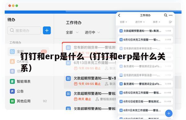 钉钉和erp是什么（钉钉和erp是什么关系）