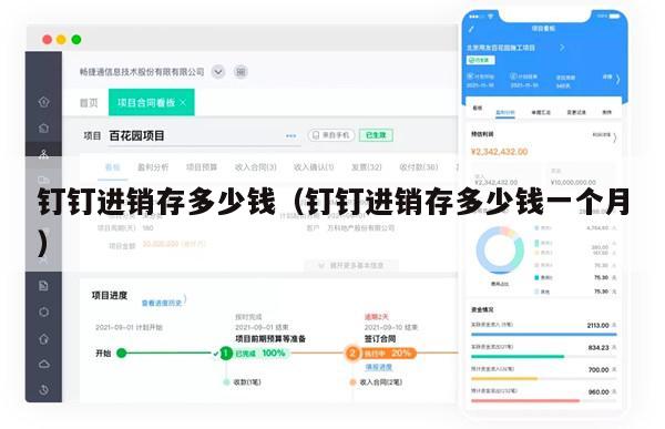 钉钉进销存多少钱（钉钉进销存多少钱一个月）