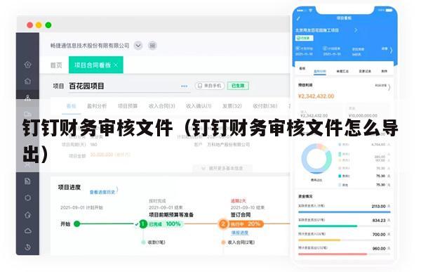 钉钉财务审核文件（钉钉财务审核文件怎么导出）