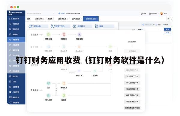 钉钉财务应用收费（钉钉财务软件是什么）