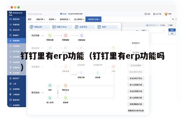 钉钉里有erp功能（钉钉里有erp功能吗）