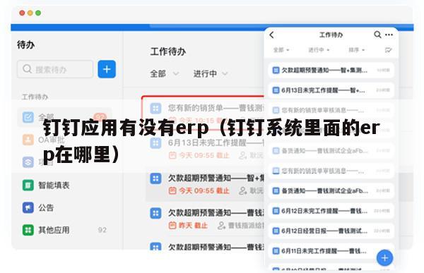 钉钉应用有没有erp（钉钉系统里面的erp在哪里）