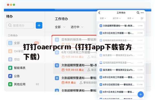 钉钉oaerpcrm（钉钉app下载官方下载）