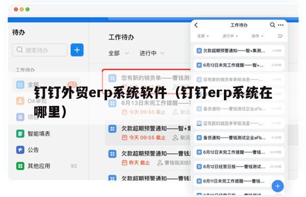 钉钉外贸erp系统软件（钉钉erp系统在哪里）