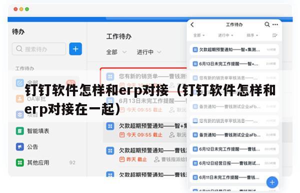 钉钉软件怎样和erp对接（钉钉软件怎样和erp对接在一起）