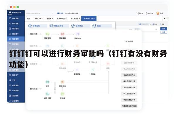 钉钉钉可以进行财务审批吗（钉钉有没有财务功能）