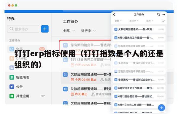 钉钉erp指标使用（钉钉指数是个人的还是组织的）