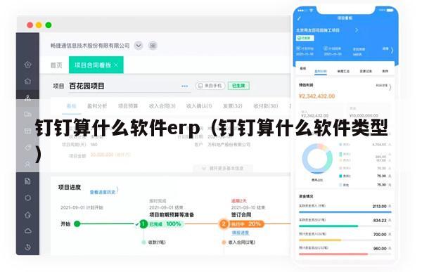 钉钉算什么软件erp（钉钉算什么软件类型）