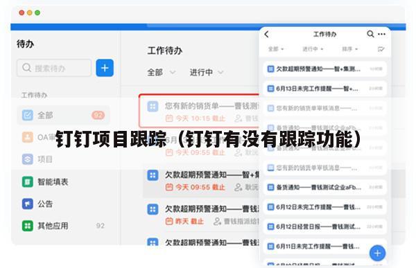 钉钉项目跟踪（钉钉有没有跟踪功能）