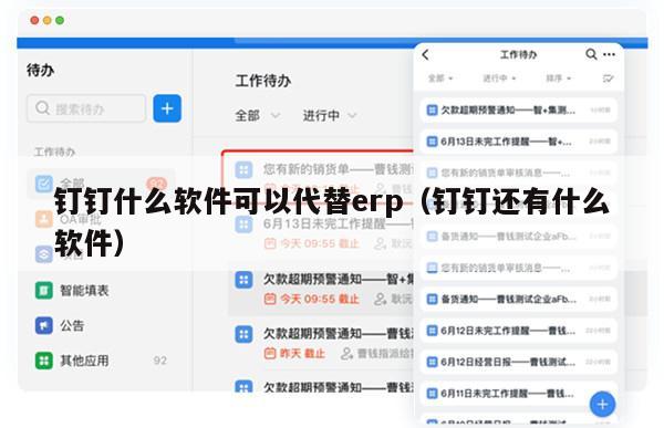 钉钉什么软件可以代替erp（钉钉还有什么软件）