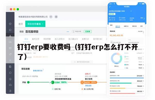 钉钉erp要收费吗（钉钉erp怎么打不开了）