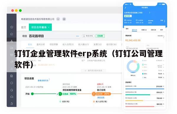 钉钉企业管理软件erp系统（钉钉公司管理软件）