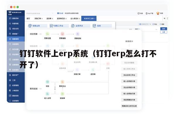 钉钉软件上erp系统（钉钉erp怎么打不开了）