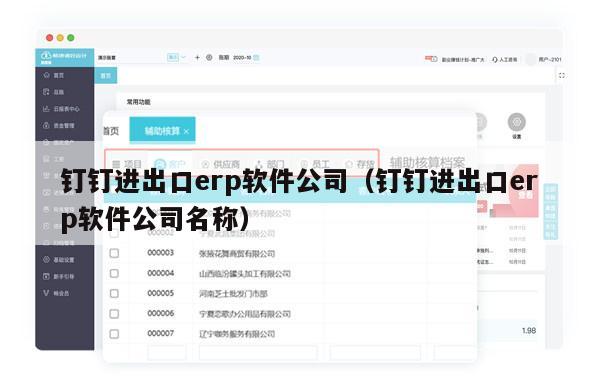 钉钉进出口erp软件公司（钉钉进出口erp软件公司名称）