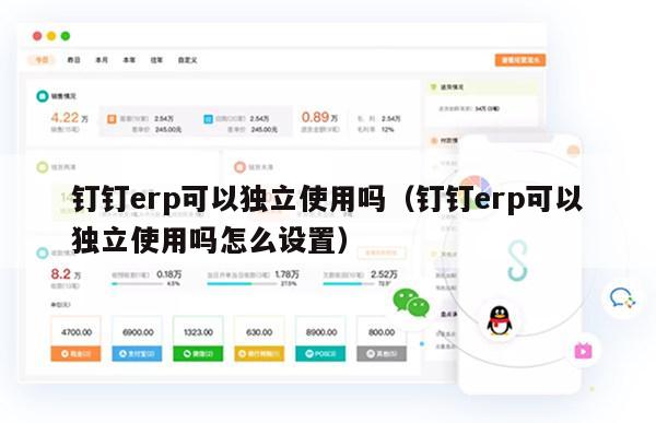 钉钉erp可以独立使用吗（钉钉erp可以独立使用吗怎么设置）