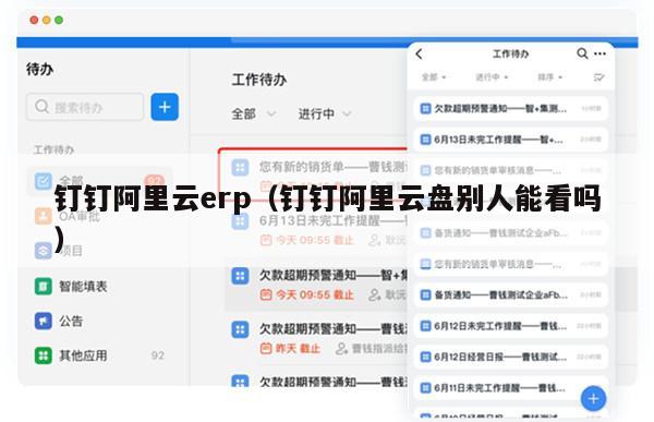 钉钉阿里云erp（钉钉阿里云盘别人能看吗）
