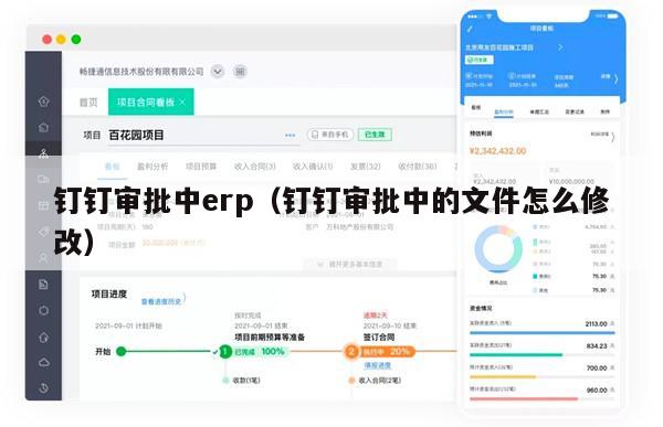 钉钉审批中erp（钉钉审批中的文件怎么修改）