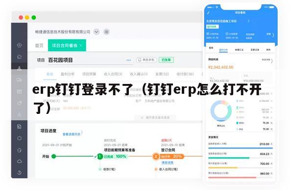 erp钉钉登录不了（钉钉erp怎么打不开了）