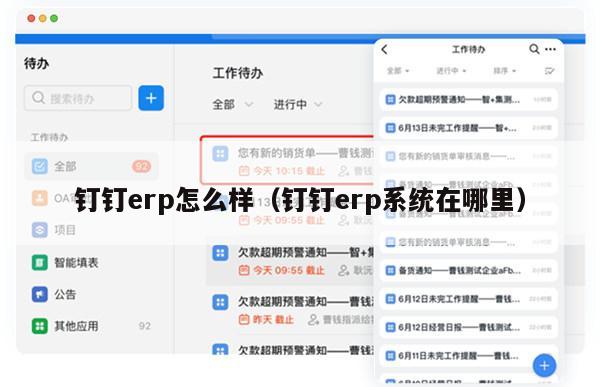 钉钉erp怎么样（钉钉erp系统在哪里）