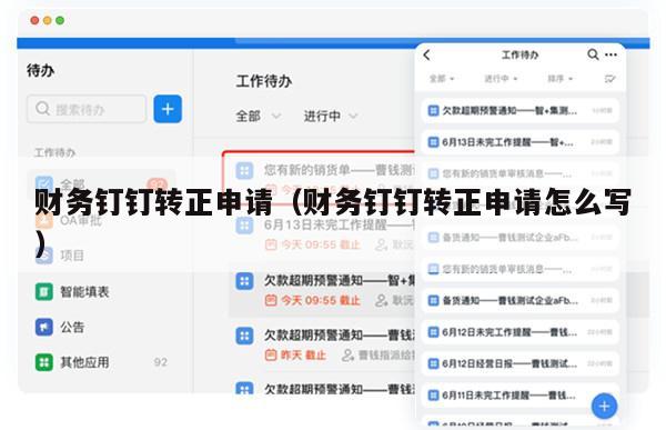 财务钉钉转正申请（财务钉钉转正申请怎么写）