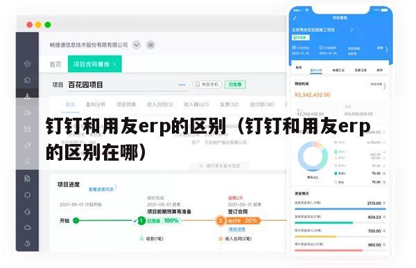 钉钉和用友erp的区别（钉钉和用友erp的区别在哪）