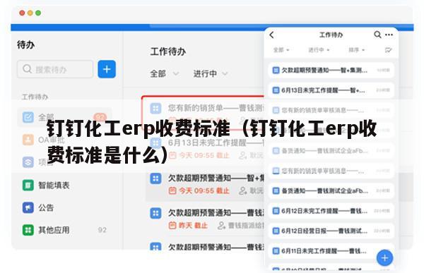 钉钉化工erp收费标准（钉钉化工erp收费标准是什么）