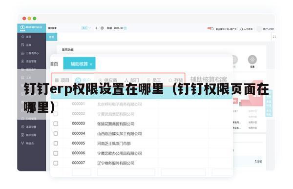 钉钉erp权限设置在哪里（钉钉权限页面在哪里）