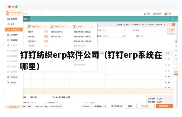 钉钉纺织erp软件公司（钉钉erp系统在哪里）