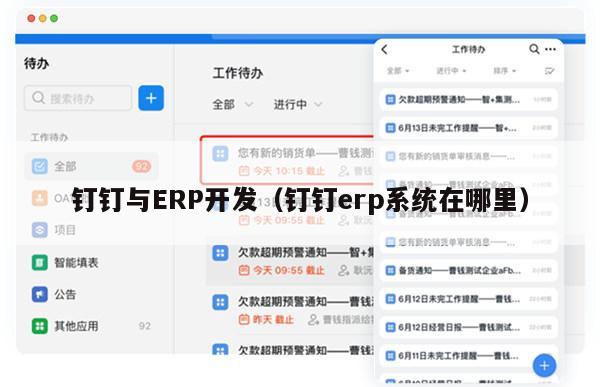 钉钉与ERP开发（钉钉erp系统在哪里）