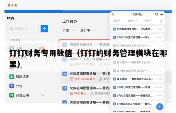 钉钉财务专用数值（钉钉的财务管理模块在哪里）