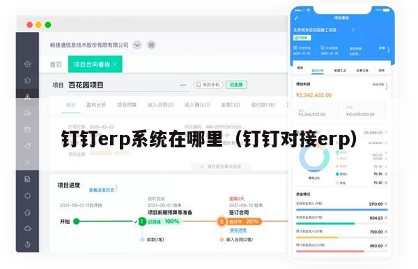 钉钉erp系统在哪里（钉钉对接erp）