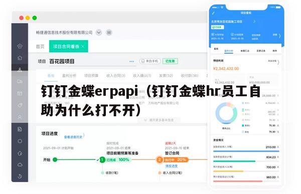 钉钉金蝶erpapi（钉钉金蝶hr员工自助为什么打不开）