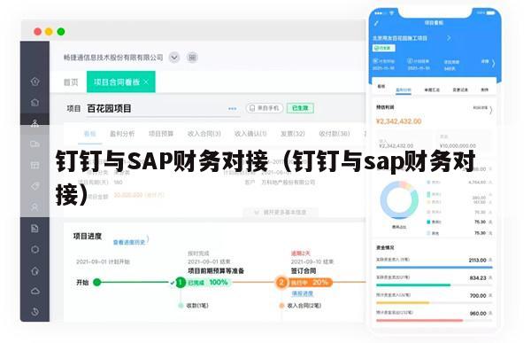 钉钉与SAP财务对接（钉钉与sap财务对接）