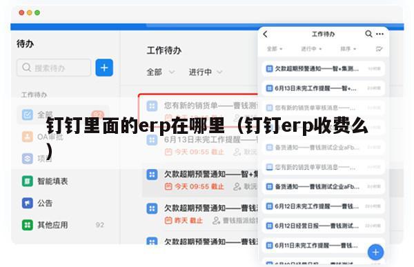 钉钉里面的erp在哪里（钉钉erp收费么）