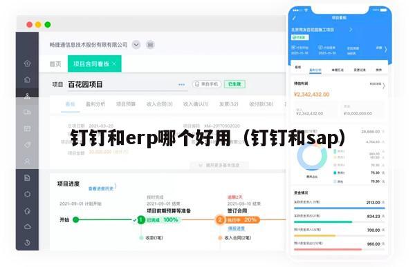 钉钉和erp哪个好用（钉钉和sap）
