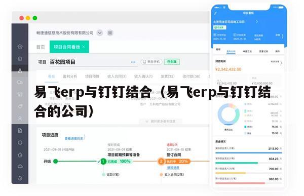 易飞erp与钉钉结合（易飞erp与钉钉结合的公司）