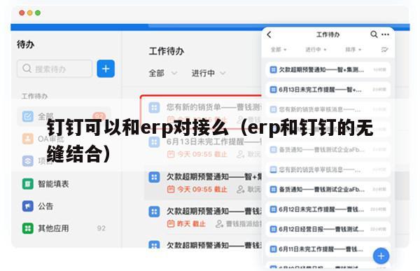 钉钉可以和erp对接么（erp和钉钉的无缝结合）