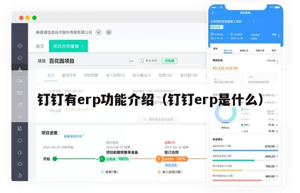 钉钉有erp功能介绍（钉钉erp是什么）