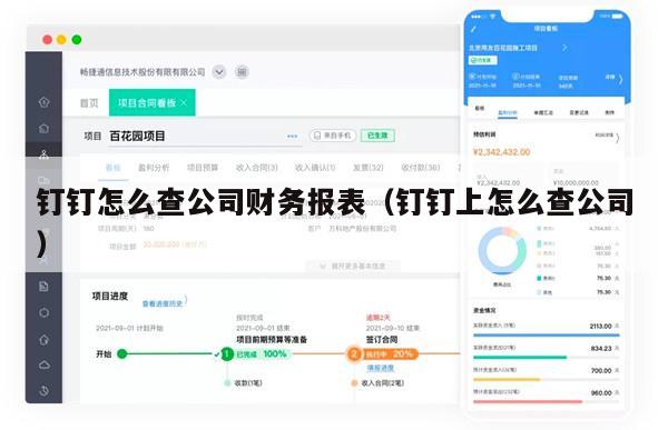 钉钉怎么查公司财务报表（钉钉上怎么查公司）