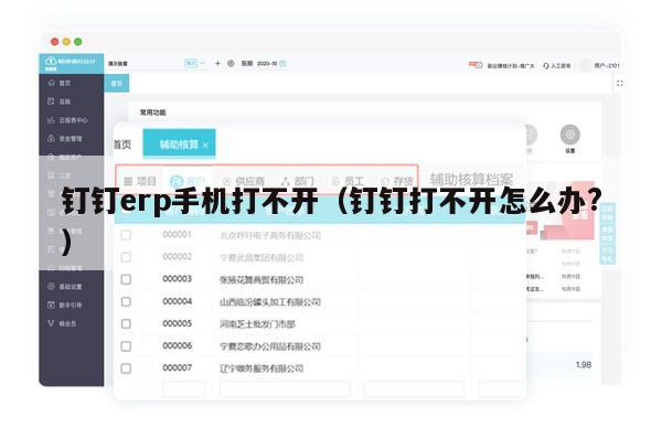 钉钉erp手机打不开（钉钉打不开怎么办?）