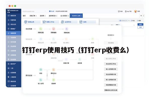 钉钉erp使用技巧（钉钉erp收费么）