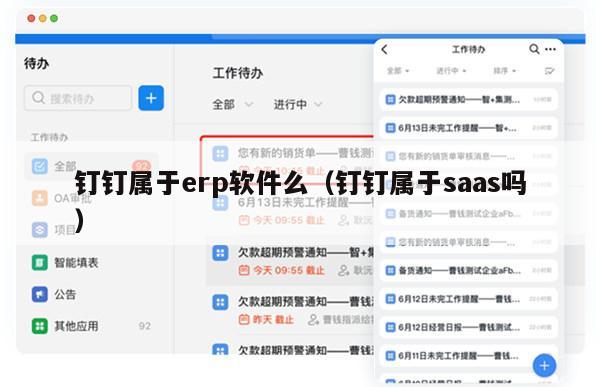 钉钉属于erp软件么（钉钉属于saas吗）